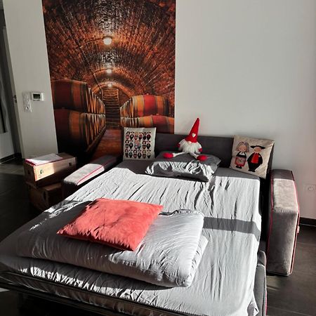 Le Riesling Colmar Centre Charmant Appartement Avec Terrasse Et Parking Gratuit Esterno foto