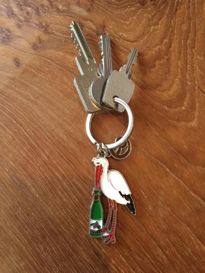 Le Riesling Colmar Centre Charmant Appartement Avec Terrasse Et Parking Gratuit Esterno foto