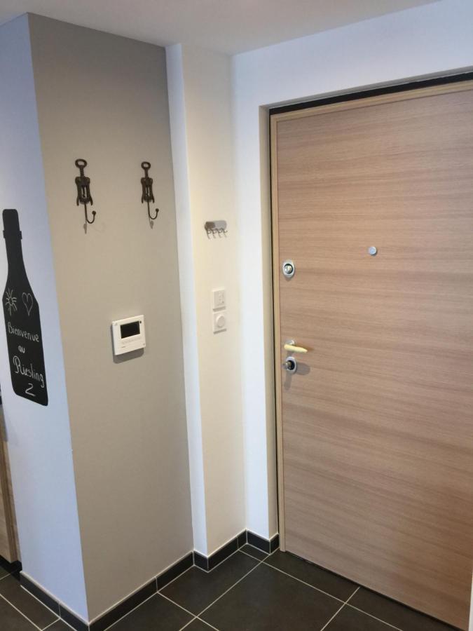 Le Riesling Colmar Centre Charmant Appartement Avec Terrasse Et Parking Gratuit Esterno foto