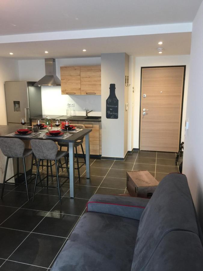 Le Riesling Colmar Centre Charmant Appartement Avec Terrasse Et Parking Gratuit Esterno foto